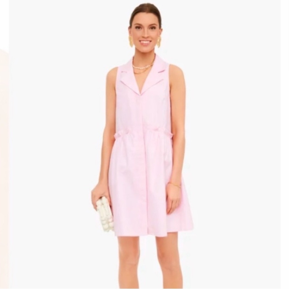 Tuckernuck Sleeveless Pink Mini Dress